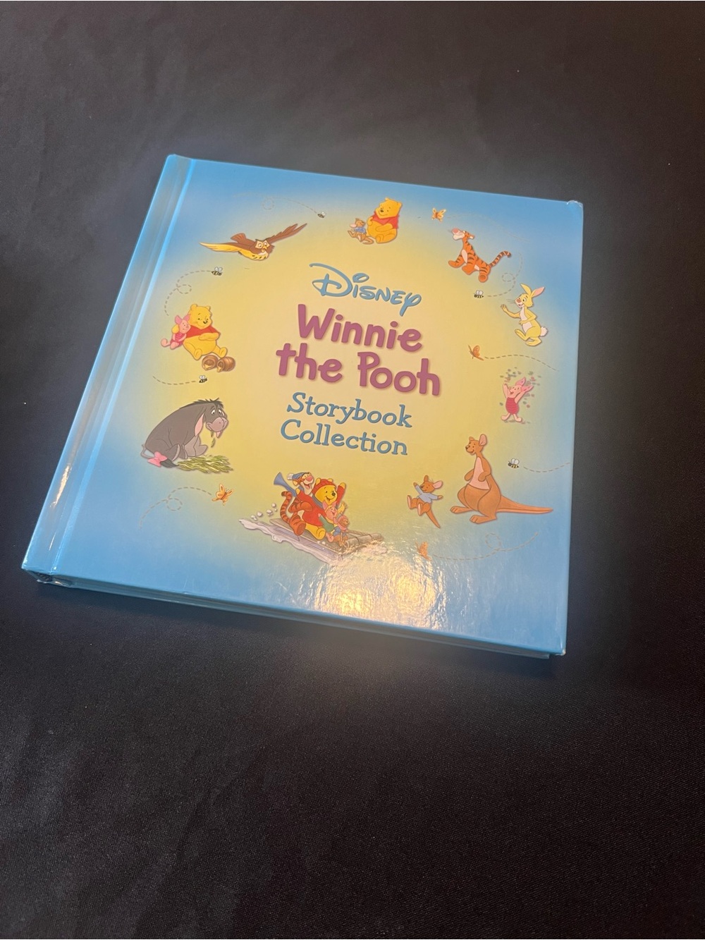 Disney Winnie the Pooh Storybook Collection Hardcover Book